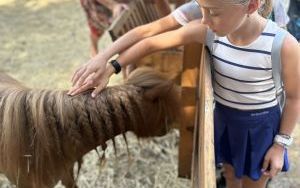 Relacja dnia 12 lipca - Akcja Lato w Mieście w filii "Dąb" (2)