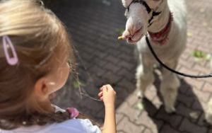 Relacja dnia 29 lipca - Akcja Lato w Mieście w filii "Dąb" (4)